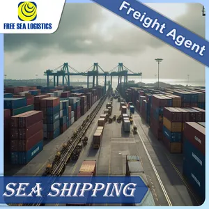Meilleur service de livraison directe de transitaire maritime vers l'Arabie saoudite transitaire de Dubaï et Oman