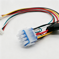 Ensemble de faisceaux de câbles personnalisés avec connecteur mâle bleu-blanc et porte-fusible pour le câblage des appareils ménagers et des équipements industriels