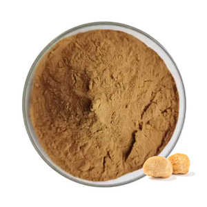 Pó de Cogumelo Orgânico Extrato de Cogumelo Lion's Mane 10% 20% 50% Polissacarídeo Hercium Erinaceus Pó de Cogumelo Lion's Mane - Product Image 1