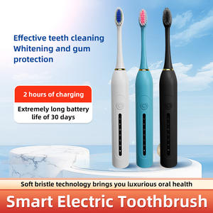 Kit de cepillo de dientes eléctrico para limpieza de dientes, cerdas suaves, cuidado bucal, cepillo de dientes sónico para adultos, cepillo de dientes eléctrico recargable para el hogar - Product Image 2