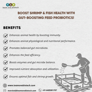 สารเติมแต่งอาหารปลาที่ผสมโปรไบโอติก - Product Image 1