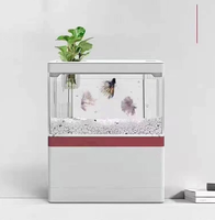 Aquarium pour poissons, tortues et poissons rouges, petit aquarium écologique créatif, directement de l'usine Zaohetian