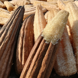 Éponge de loofah naturelle entière biodégradable pour le nettoyage des casseroles et des poêles de cuisine - Product Image 2