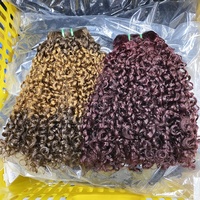 Prix d'usine – Lots de cheveux humains bouclés Pixie Curls, double épaisseur, vierges bruts vietnamiens, 100 % non traités – Fournisseur