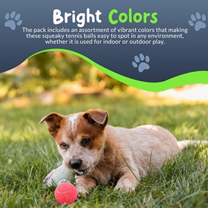 Jouets à mâcher pour chiens personnalisés avec logo, écologiques, en gros, balles de tennis en caoutchouc pour animaux de compagnie, jouets interactifs pour chiens - Product Image 5