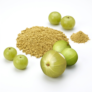Fabricant de poudre de fruit d'Amla en provenance d'Inde - Product Image 1