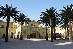 Bán Buôn Giá Rẻ Giá Nhà Trong Nhà Ngoài Trời Vườn Trang Trí Nội Thất 4M 5M 8M Cao Lớn Sợi Thủy Tinh Nhựa Nhân Tạo Canary Ngày Cây Cọ - Product Image 3