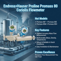 Nuevo Medidor de Flujo Másico Coriolis Original Endress Hauser Promass 80, Promass F 300 500, Medidor de Flujo Electromagnético Promag E+H, Precio