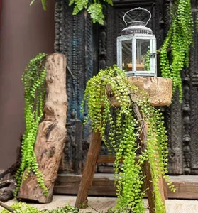 Plante artificielle grimpante décorative en plastique de haute qualité, type <span class=keywords><strong>liane</strong></span> ou palmier en caoutchouc, pour mur végétal - Product Image 2