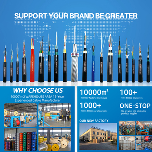 <span class=keywords><strong>Câble</strong></span> à <span class=keywords><strong>fibre</strong></span> <span class=keywords><strong>optique</strong></span> blindé <span class=keywords><strong>extérieur</strong></span> monomode 2/12 cœurs GYTA GYTS GYTA53 GYTC8S GYXTW G652d - Product Image 6