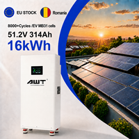 Paket Baterai Lifepo4 Romania 51.2V 314ah 300Ah 314Ah 320Ah 16kwh Baterai Lithium Ion Prismatik Penyimpanan Tenaga Surya Stok EU