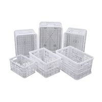 Caisse à poisson perforée en plastique massif pour la ventilation des fruits de mer, plateau empilable, plateau à pizza, panier, écologique et durable