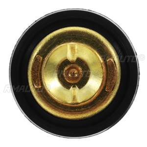 1 pieza 6E5-12411-00 6E5-12411-02 6E5-12411-10 Termostato de motor de barco para SUZUKI para motor fueraborda Yamaha, pieza de motor - Product Image 4