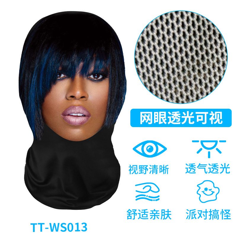 TT-WS013