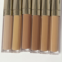 Nouveautés correcteur liquide sans cruauté aux animaux à couverture élevée 6 couleurs longue durée marque privée