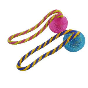 Materiale sicuro Design eccellente durevole palle cane giocattoli interattivi per animali domestici con la corda - Product Image 1