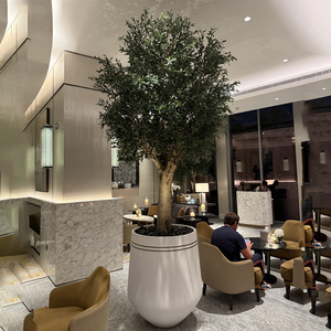 <strong>Real</strong> Touch <strong>Olive</strong> <strong>Trees</strong> Artificial Indoor Decorative Large Bonsai <strong>Tree</strong> For For Hotel Restaurant Shopping Mall Decoration - Product Image 6