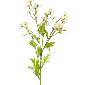 ดอกเดซี่ประดิษฐ์ 30 หัว สีขาวเหลือง ผ้าไหม คุณภาพสูง เหมาะสำหรับตกแต่งงานแต่งงาน และเป็นพร็อพถ่ายภาพ - Product Image 5