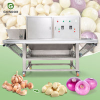 Machine industrielle de fabrication alimentaire Food Air Pakistan pour l'épluchage de l'ail et le traitement des mini-oignons