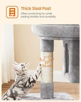 Arbre à chat Gain à double niveau avec 2 grottes, tunnel, griffoir et grande perchoir pour usage intérieur toutes saisons