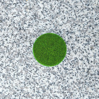 Simulation circulaire pelouse mousse micro paysage mousse gazon plante verte tapis extérieur