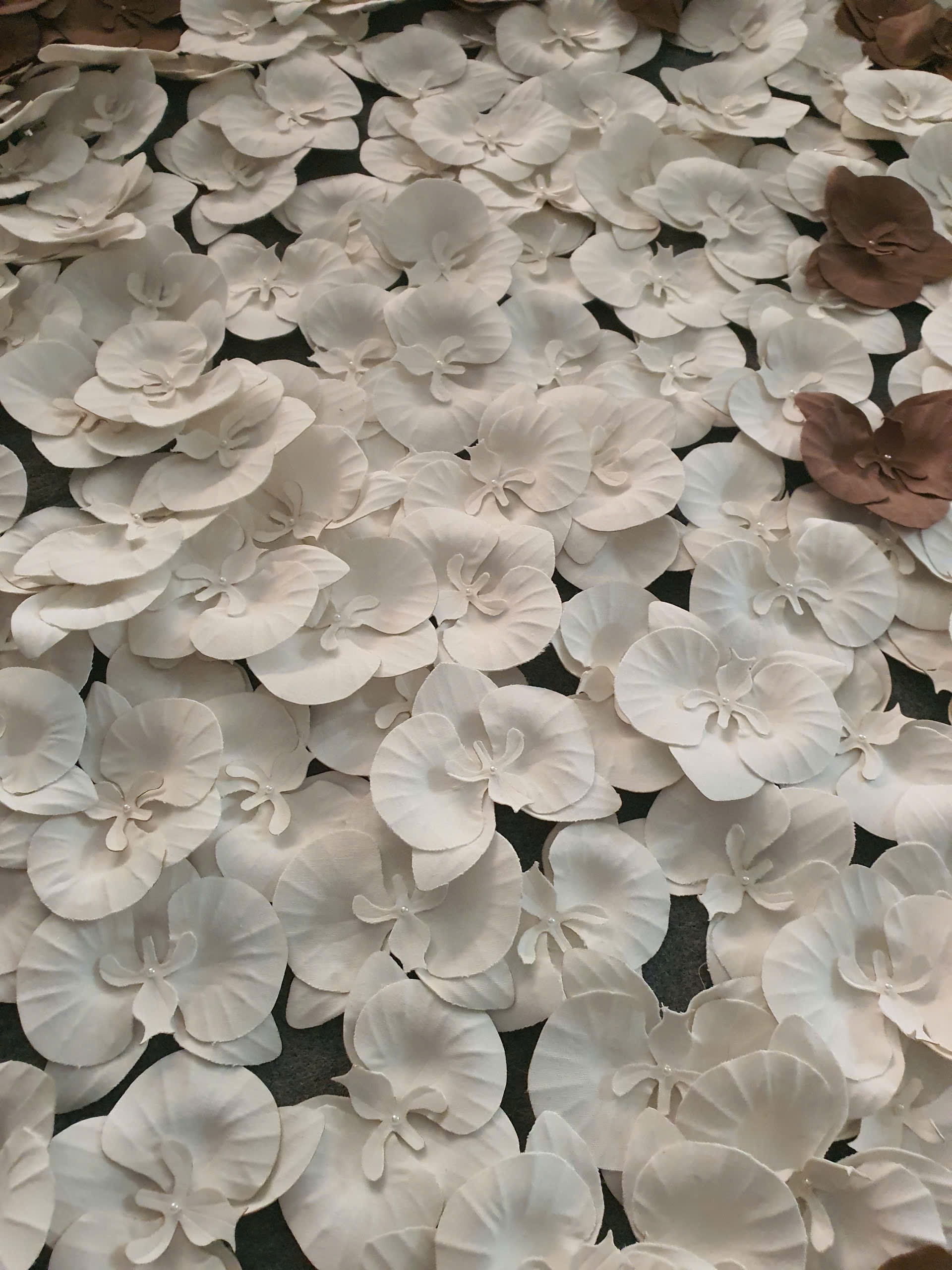 กำหนดเอง