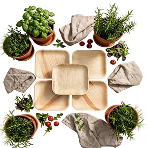 Platos Cuadrados Premium de Hoja de Palma Areca de 7 Pulgadas, Compostables, Ecológicos y Desechables para Fiestas y Cenas - Product Image 1