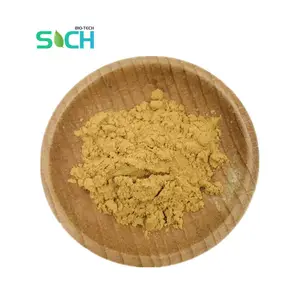 Wholesale Price 100% Natural Fig Leaf Extract Ficus Carica Powder Fig Extract