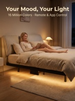 Lit en fer forgé de haute qualité, design simple, avec éclairage et télécommande, 2 mètres, pour chambre à coucher