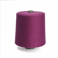 Dyed 16s 21s 30s 32s 40s Spun Yarn China Manufacturers Spun Polyester Yarn for Knitting Socks