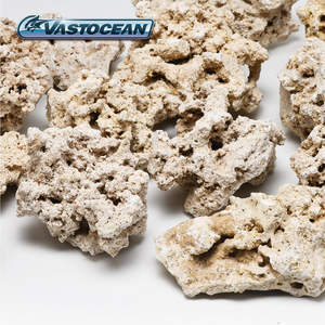 Pietra Artificiale per Acquario Marino <span class=keywords><strong>con</strong></span> Coltura di Batteri - Product Image 2