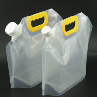 2L/3L/5L liquide extérieur Transparent bière boire jus boisson Portable bec pochette en plastique transparent bavoir sac dans la boîte