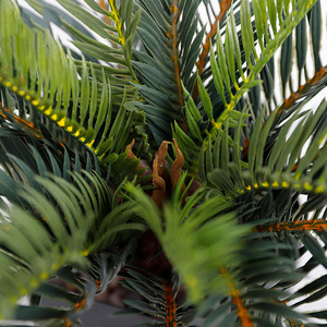J-137 Grandi Piante Artificiali Verdi Cycas Revoluta, Foglie Singole di <span class=keywords><strong>Palma</strong></span> da Cocco Cycas, Albero di <span class=keywords><strong>Palma</strong></span> Artificiale Decorativo, Vendita all'Ingrosso - Product Image 2