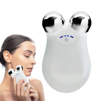 Appareil de lifting du visage portable, mini appareil professionnel de resserrement de la peau, microcourant, appareil de tonification du visage, 5 niveaux réglables, USB