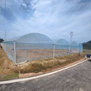 Melon Fruit Galvanisé Tuyau En Acier Cadre Multi-Span Agricole Serre Film Couverture Grande Taille Bonne Transmission De La Lumière - Product Image 5