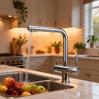 Robinet de cuisine contemporain SUS 304 le plus vendu, robinet de cuisine 4 voies sans plomb avec eau gazeuse pétillante