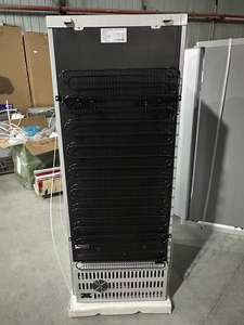 Congélateur vertical de qualité supérieure de 198 litres avec 7 niveaux pour machine à glaçons et poisson, pour usage commercial, marché sénégalais - Product Image 5