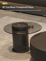 Table basse moderne en pierre frittée avec rangement, structure en bois massif, personnalisation OEM ODM, mobilier de salon, design minimaliste moderne