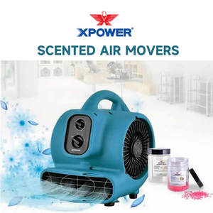 XPOWER P-250T освежитель воздуха мощный ароматизатор - Product Image 2