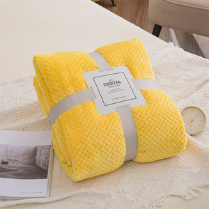 Coral Fleece Lightweight Knee <strong>Throw</strong> Blanket Soft <strong>Cosy</strong> Winter Pet Blanket Thickened Solid Color Pineapple Blanket - Product Image 5