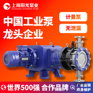ปั๊มสูบจ่ายสารเคมีไฮดรอลิกแบบไดอะแฟรม รุ่น DY-D 4540 ยี่ห้อ Shanghai Sunshine Pump Industry ผลิตจากสแตนเลส 316 ขับเคลื่อนด้วยไฟฟ้า - Product Image 2