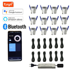 TUYA APP dimmable <span class=keywords><strong>led</strong></span> <span class=keywords><strong>mini</strong></span> projecteurs encastrés extérieur downlight set <span class=keywords><strong>IP65</strong></span> DC12V AC230V 700mA 3W 28mm trou coupé pour véranda - Product Image 3