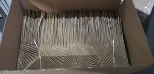 Feuilles De <span class=keywords><strong>Palmiers</strong></span> - Product Image 4