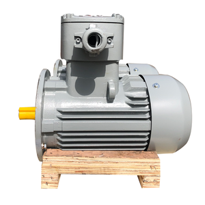 มอเตอร์เหนี่ยวนำแบบอะซิงโครนัสสามเฟส - Product Image 4