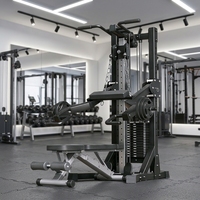 Rack de fitness Flying Bird à double poulie amélioré, machine de fitness compacte et stable avec fonctions multiples et engrenages réglables pour salle de sport intérieure