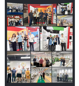 कार निकायों और फ्रेम के लिए उत्कृष्ट औपचारिकता के साथ मोटर वाहन स्टील कॉइल कोल्ड रोल्ड-ऑटोमोटिव ग्रेड स्टील कॉइल - Product Image 3