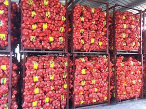 Trung Quốc cây trồng mới tươi Vàng hành tây cho xuất khẩu - Product Image 6