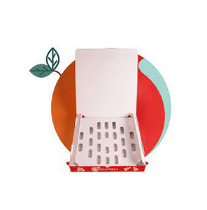 Bio-Degradable Reduce Condensation Heat Retention Heat Resistant Thermal White Cardboard Cheap Custom Pizza Box
