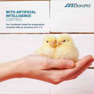 Incubateur d'oeufs Lumia 16 bleu fabriqué en italie contrôleur d'incubateur de tournage d'oeufs manuel incubateur d'oeufs température modifiable - Product Image 6
