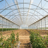 Serres agricoles en film plastique à double couche, grande taille, à simple travée, personnalisées en usine, à faible coût, pour tomates, Starfarm